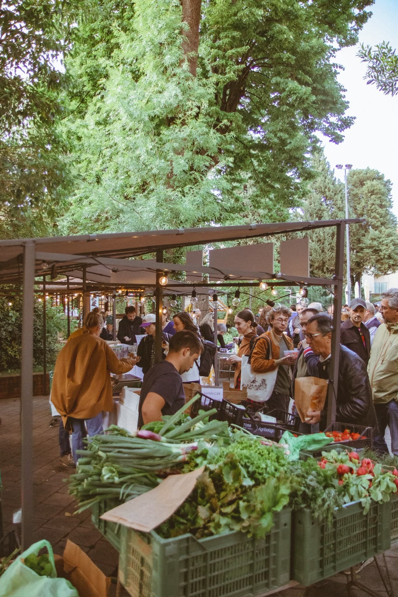 Comunella Market — foto 8