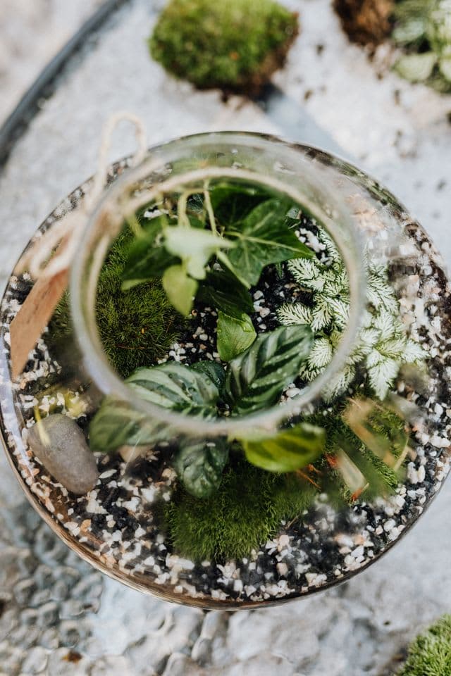 Floral Workshop in Riccione: Botanical Creations with Terra Acqua Dano
