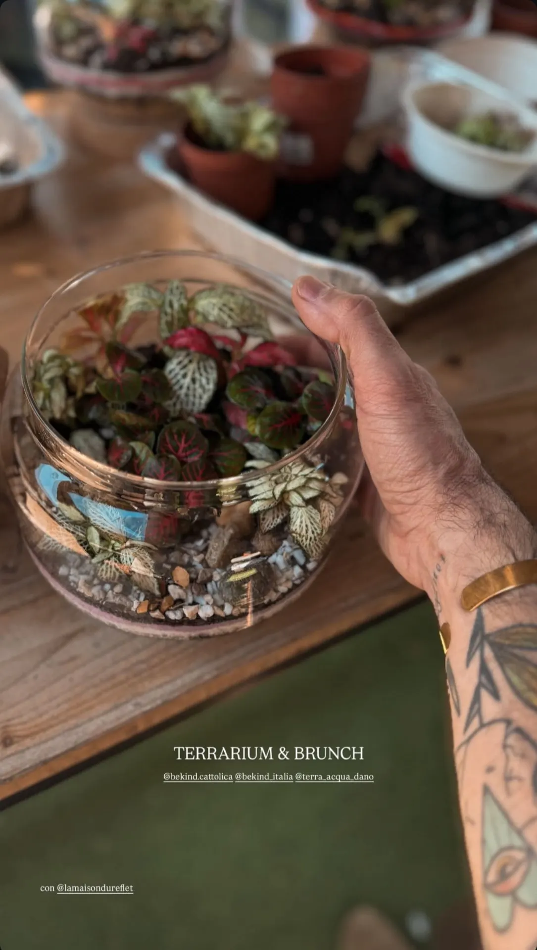 Terrarium Workshop | Idroponica & Brunch Be Kind — foto 2