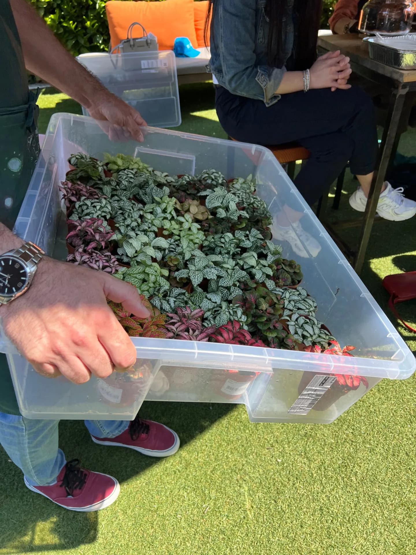 Terrarium Workshop | Idroponica & Brunch Be Kind — foto 5