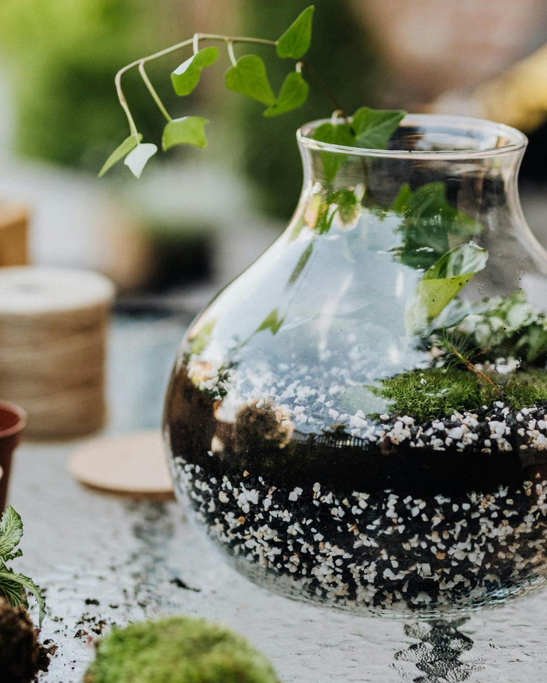 Terrarium Workshop & Brunch Be Kind