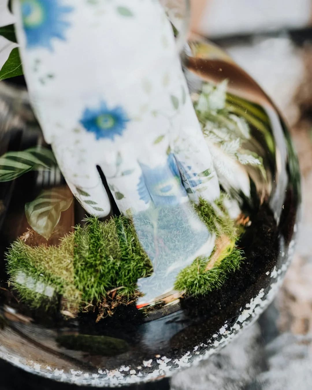 Terrarium Workshop | Idroponica & Brunch Be Kind — foto 6