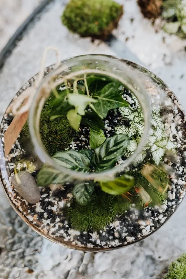 Terrarium Workshop | Idroponica & Brunch Be Kind — foto 8